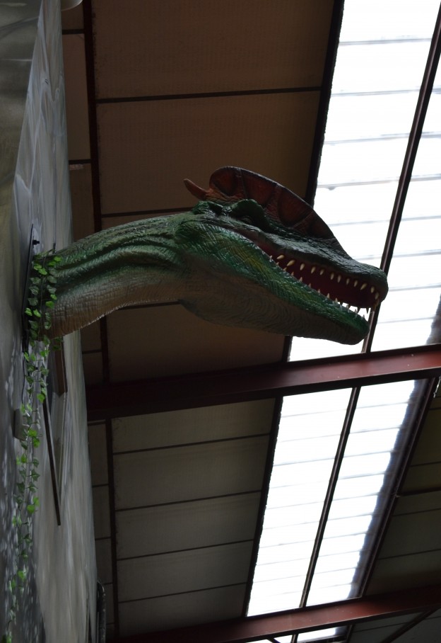 Sortie En Famille Au Parc Indoor Dino Jo