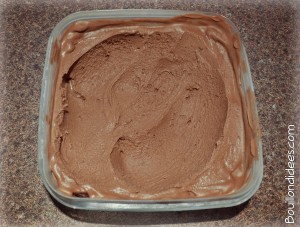 Glace chocolat-noisette sans gluten, sans lait, sans oeuf, GLO avec sorbetière Bouillondidees