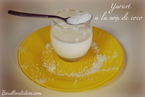 yaourts maison à la noix de coco Bouillondidees