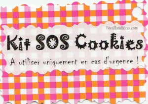 KIT Pot SOS Cookies cadeau fait maison maitresse fête des mères noël étiquette cadeau Bouillondidees