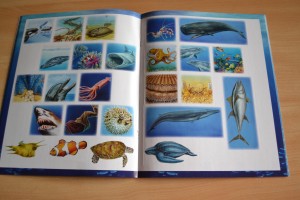 Les animaux de la mer (Editions Fleurus)