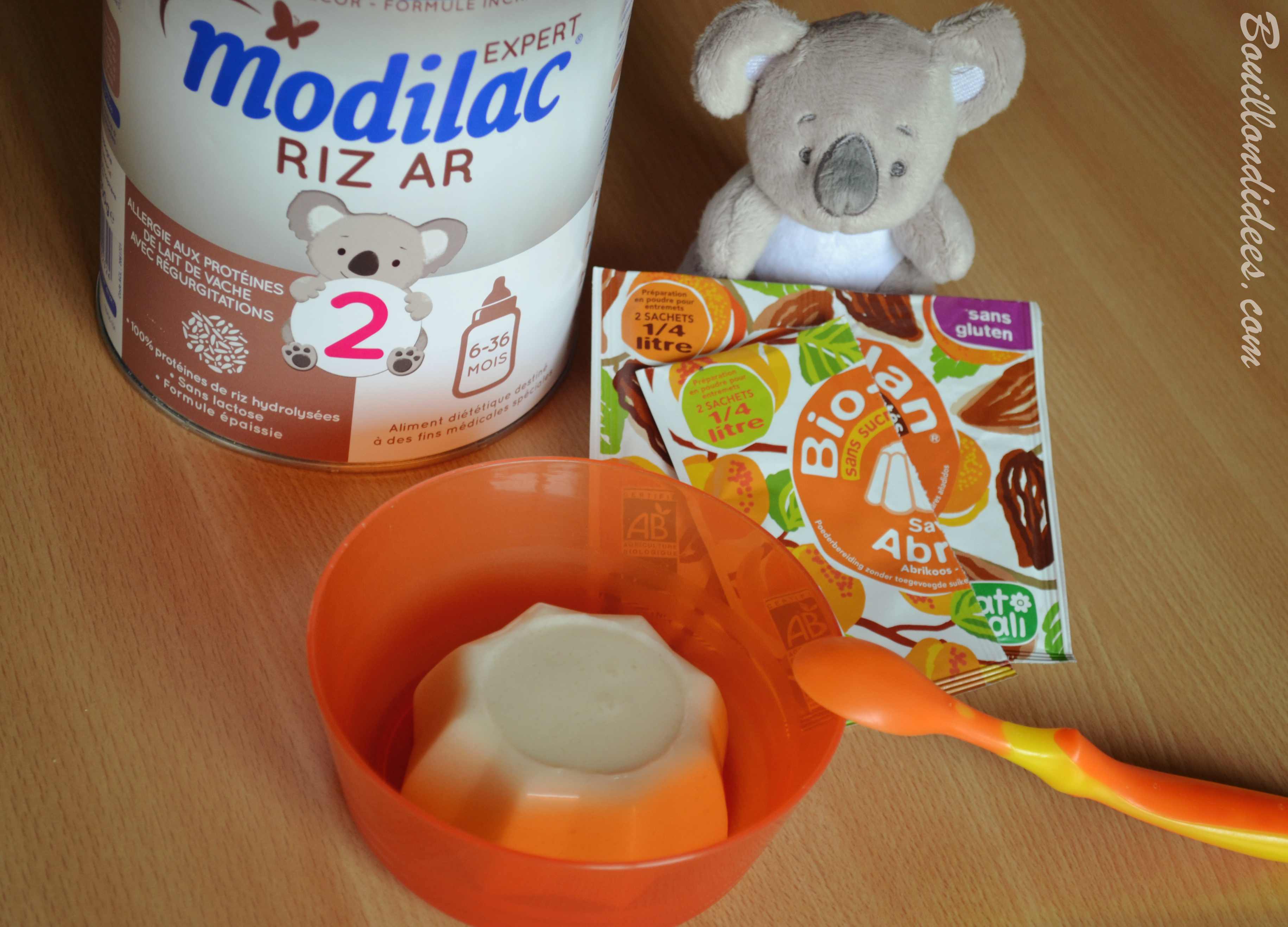 Premier porridge pour bébé à la mangue (sans PLV, sans gluten)
