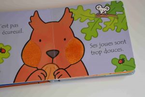 Livres à toucher premiers livres bébé  Où est mon écureuil (éditions Usborne) Bouillondidees2