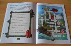 Cahiers de devoirs et d'activités pour les vacances 6-7 ans CP Ce1 Jeux vacances Angry Birds Larousse 