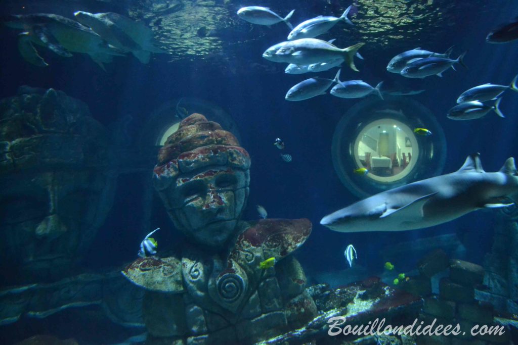 visite de l’aquarium Sea Life Paris Val d’Europe - blog Bouillon di'dées
