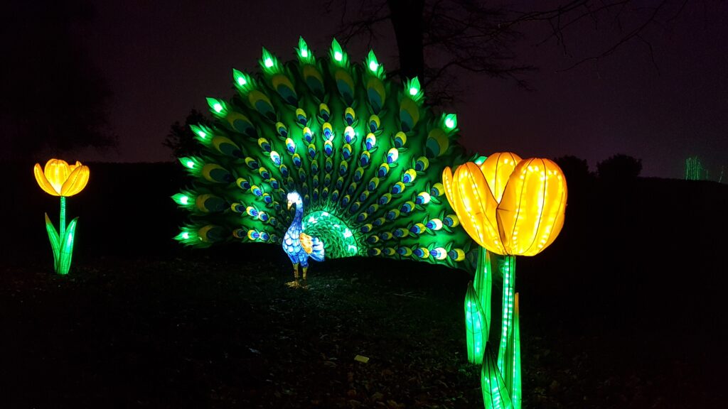 Thoiry Lumières Sauvages, festival des lanternes Yvelines